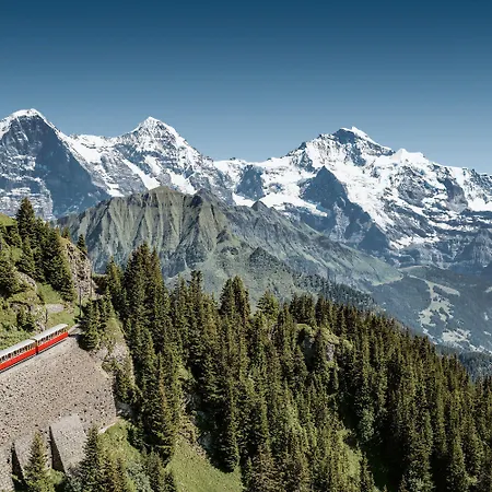 Krebs 4* Interlaken