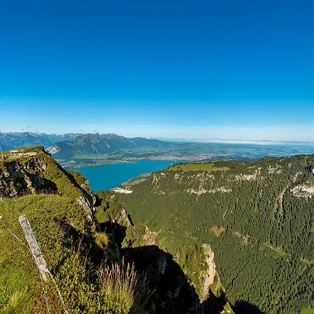 Krebs 4* Interlaken
