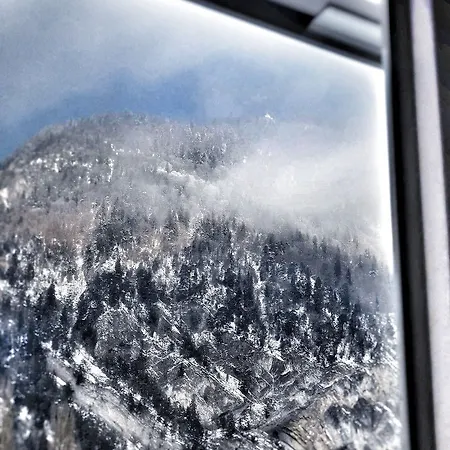 Krebs Interlaken