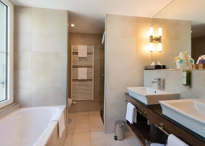 ホテル クレブス インターラーケン