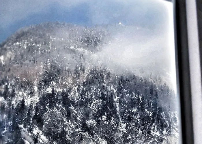 クレブス インターラーケン