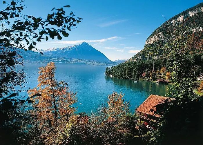 كريبس فندق إنترلاكن