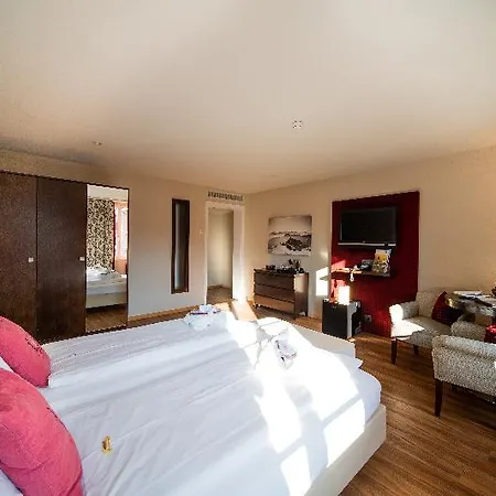 Hotel Krebs